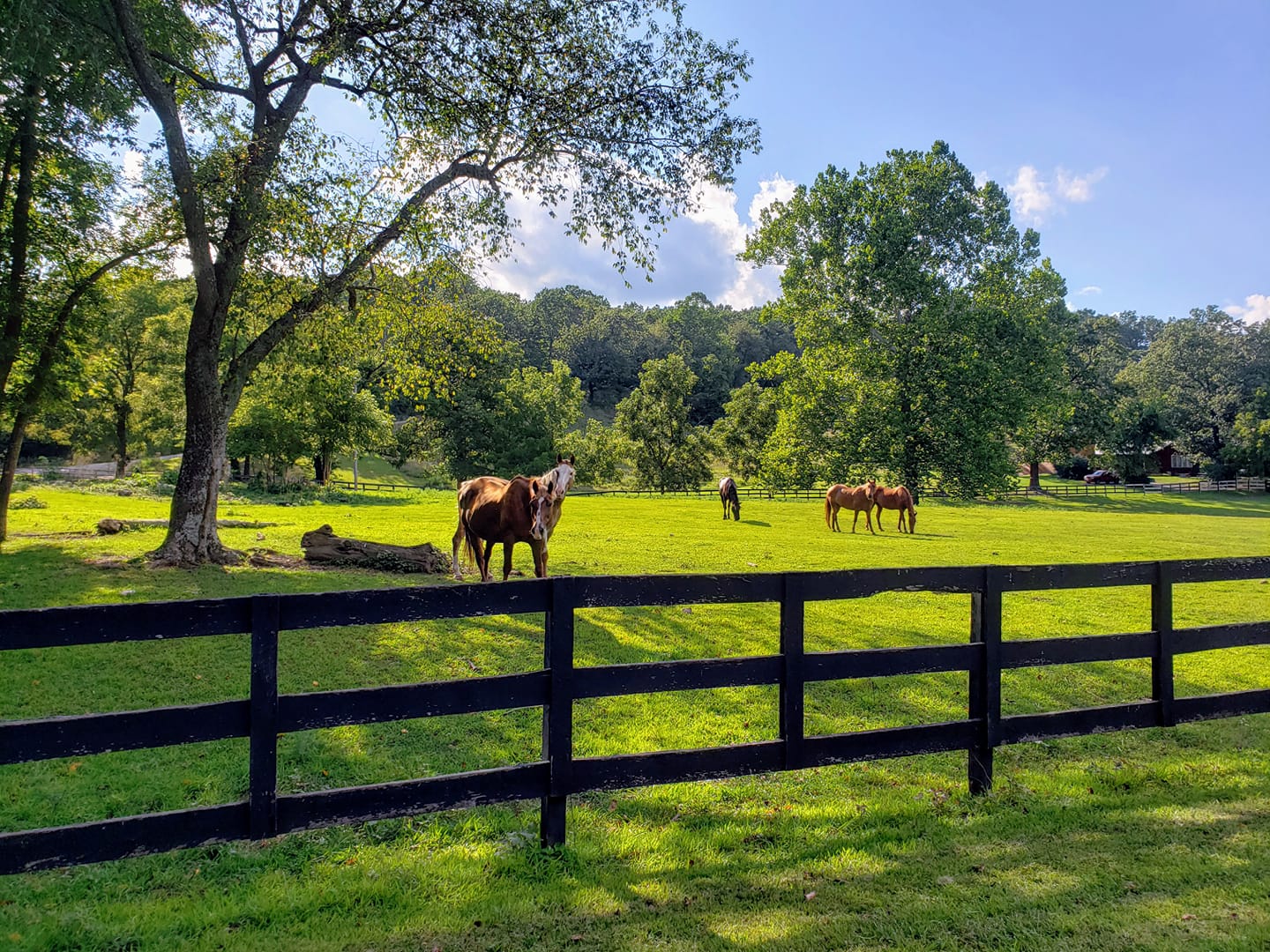Holy Rock Ranch