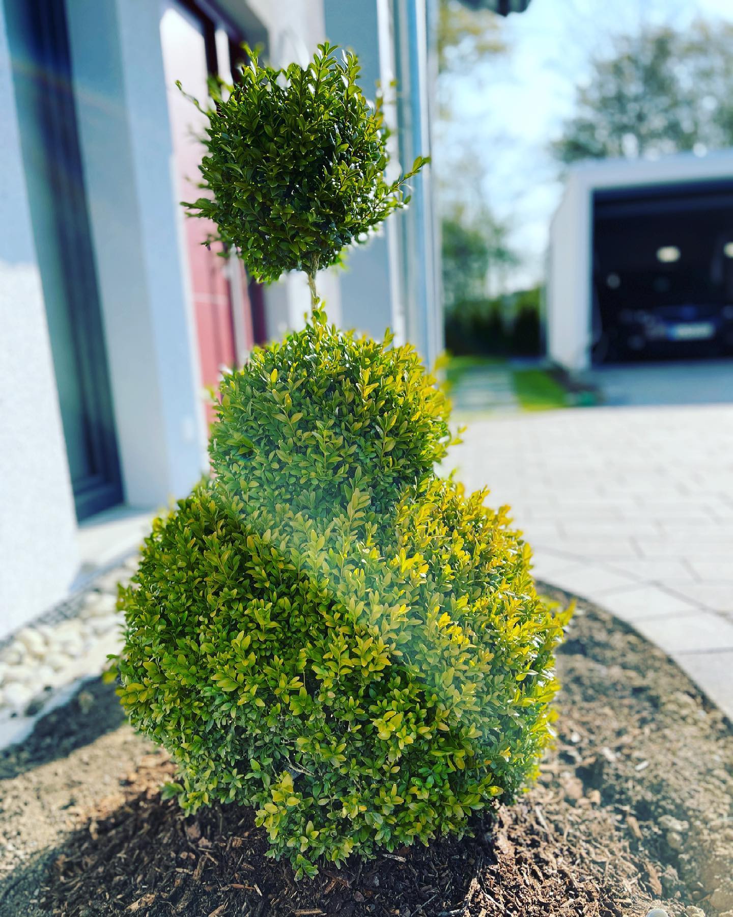 Da Silva Gartenbau - Posts | Facebook