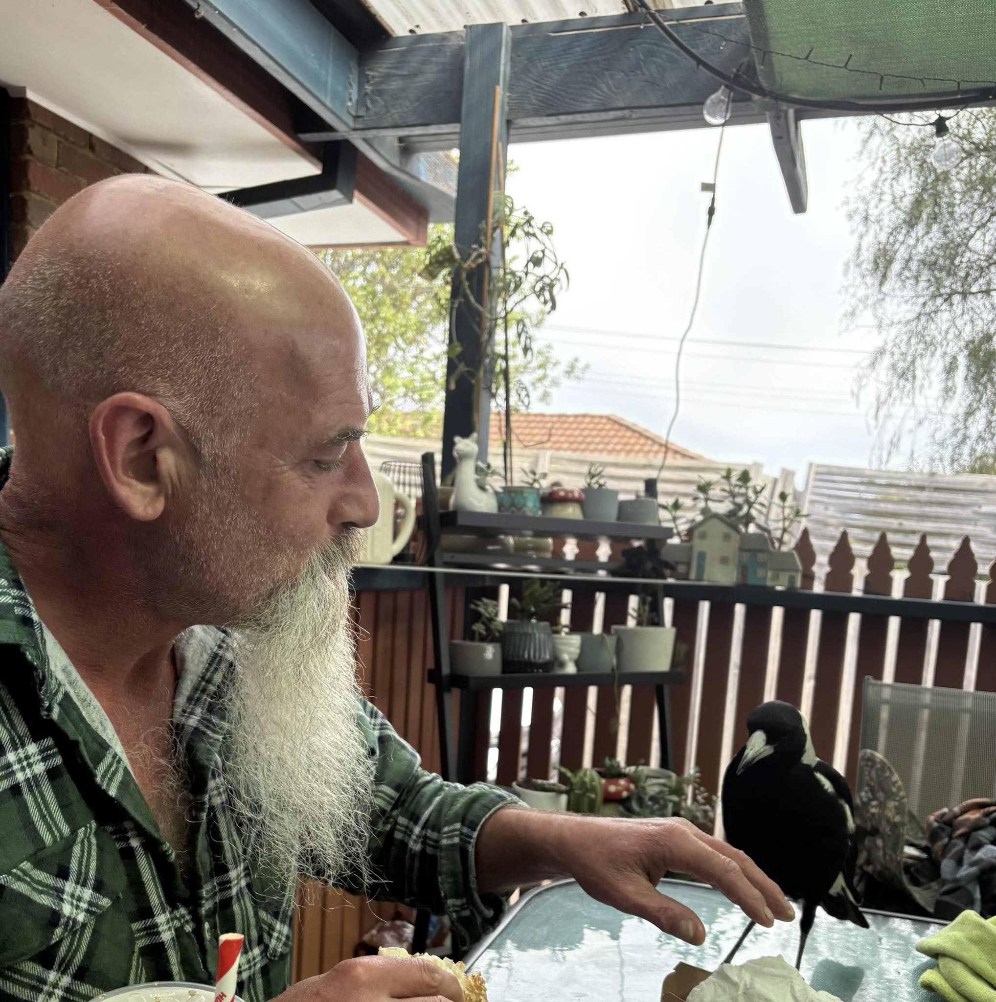 Ed Gilbert - My friend came to visit. We had a... | Facebook