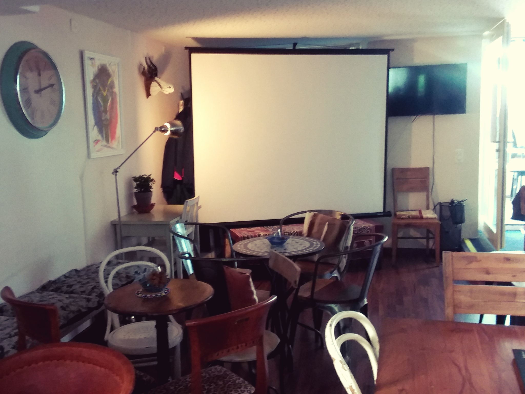 Springbok Bar & Cafe