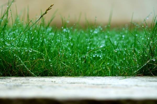เมื่อยามฝนพรำ
