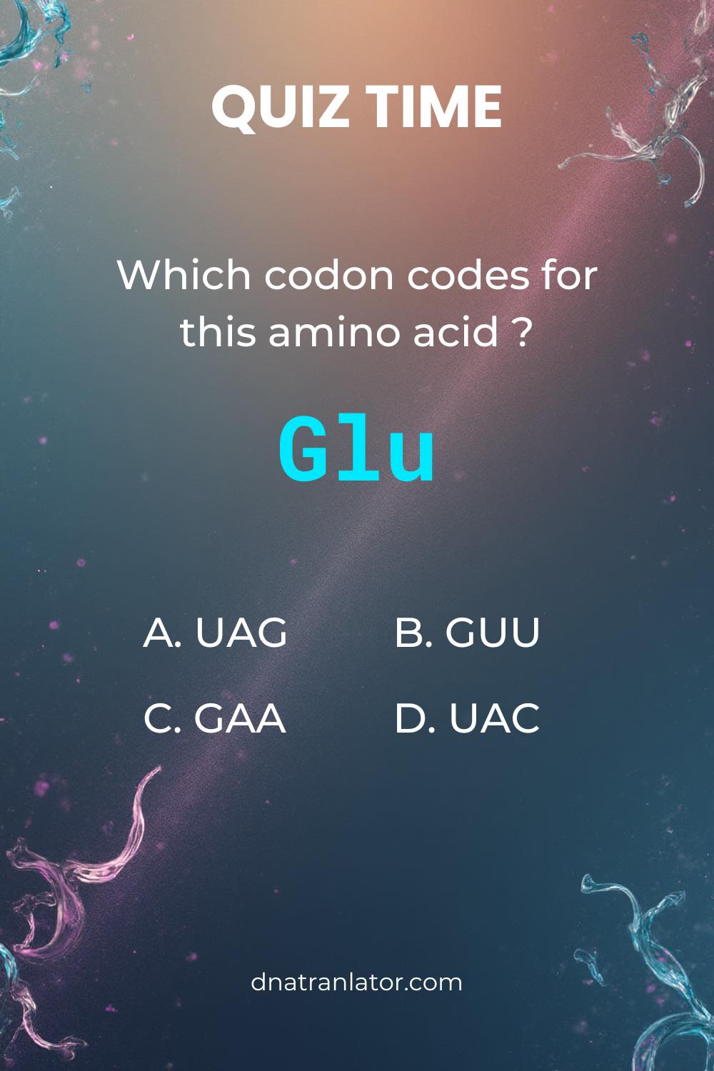 What codon codes for glutamic acid?