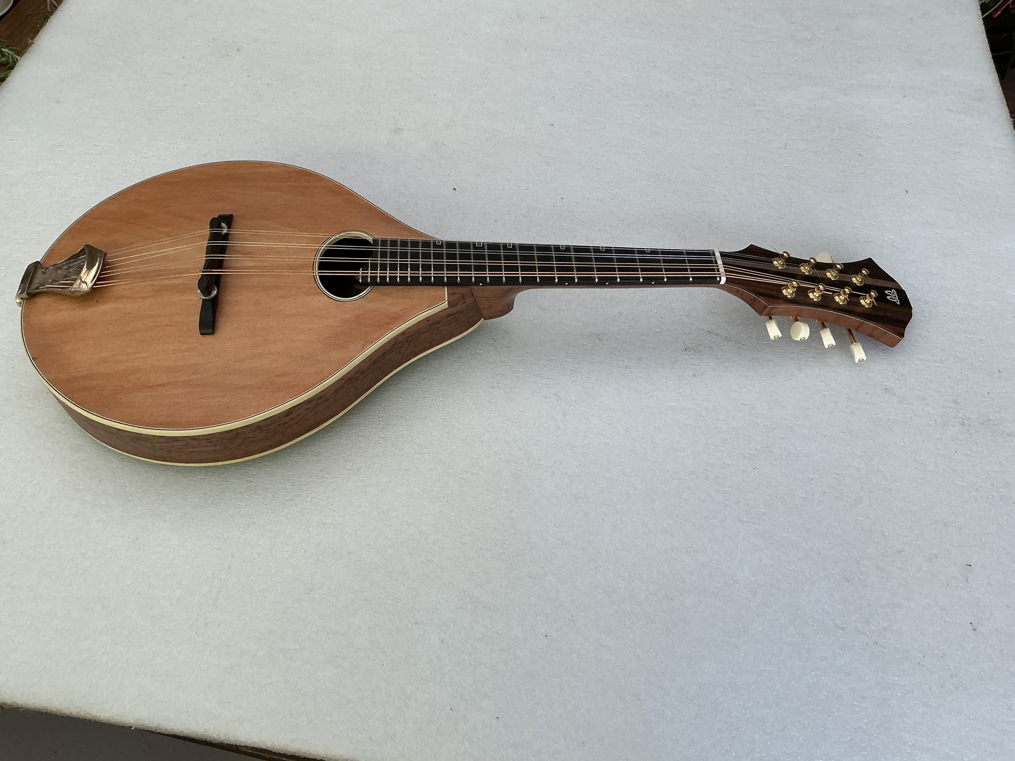 Recording King mandolin review with big woody sound