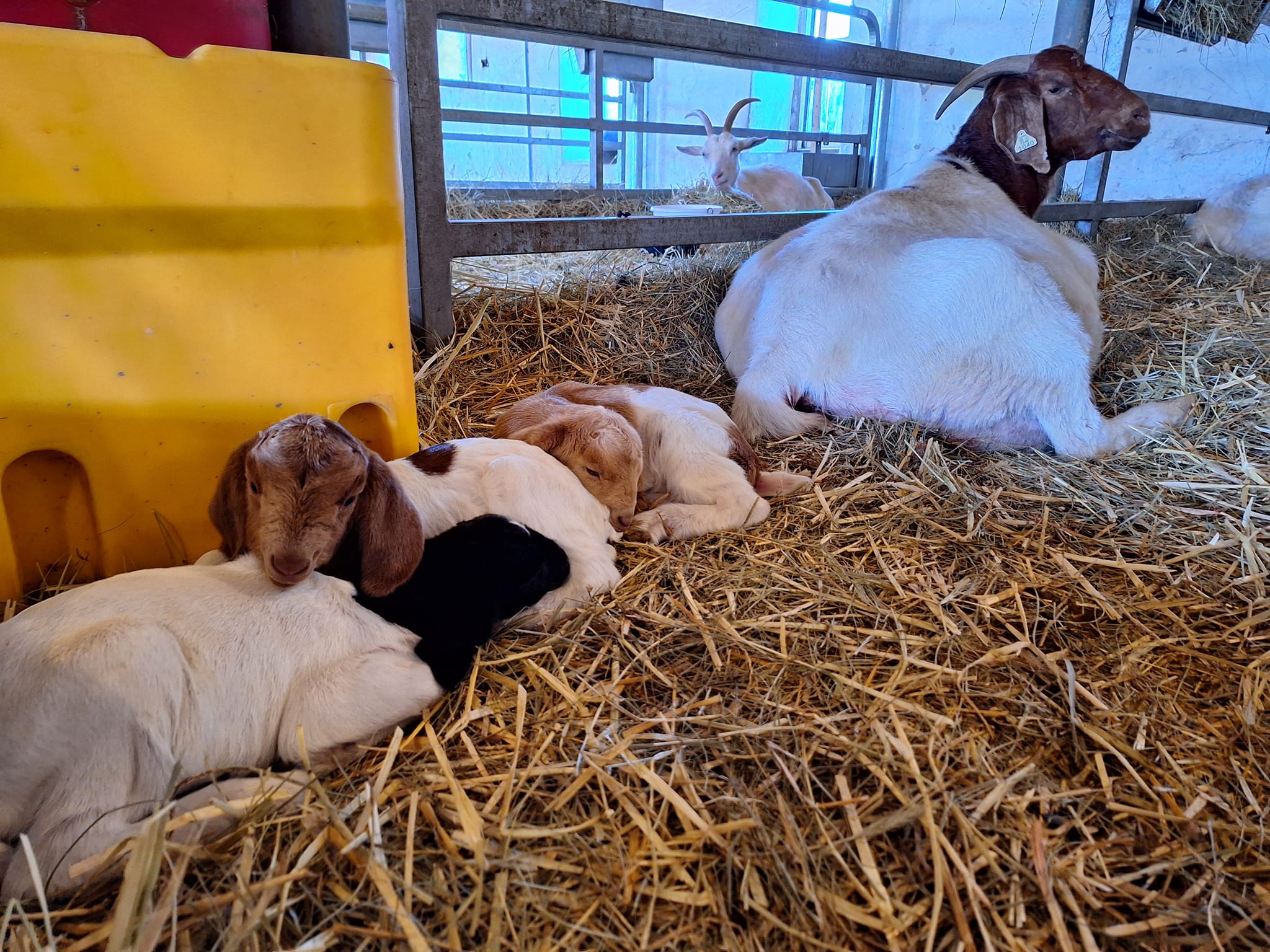 The farm... - Roth Center for Sustainable Agriculture