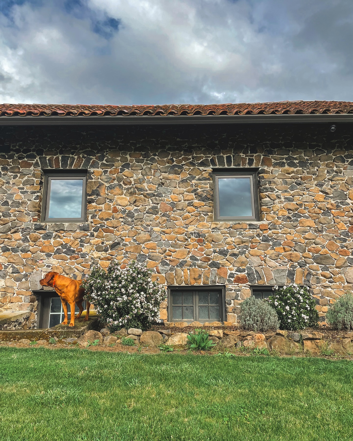 Table Rock Ranch & Vineyard | Central Point OR