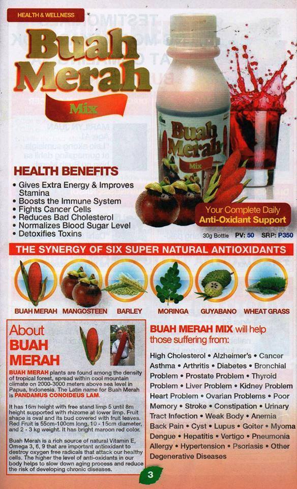 What is Buah Merah Ano ba ang Buah Merah, at ano ang magandang ...