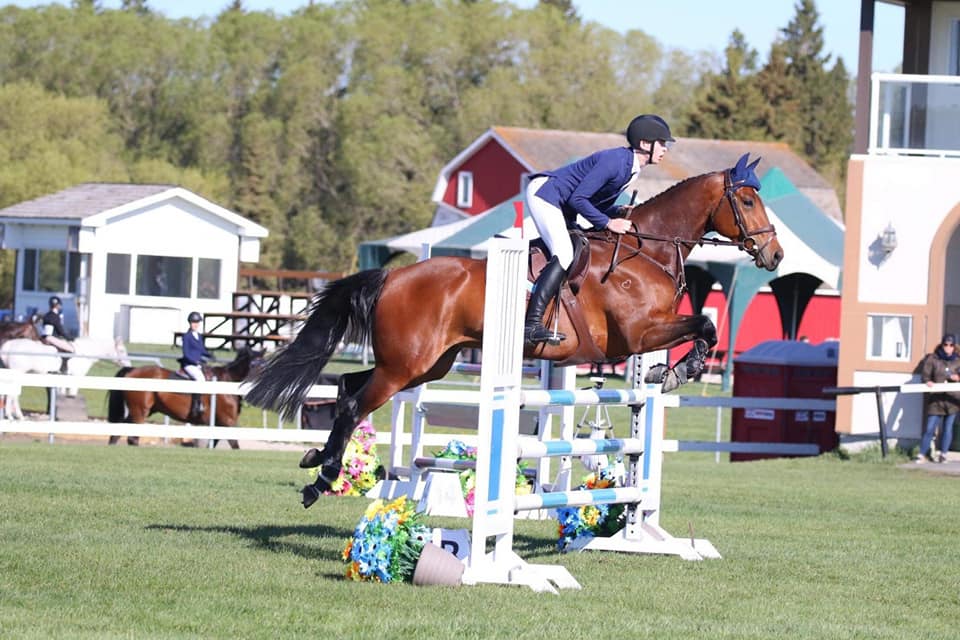 The 2019 show season is off to a... - Bar None Ranches