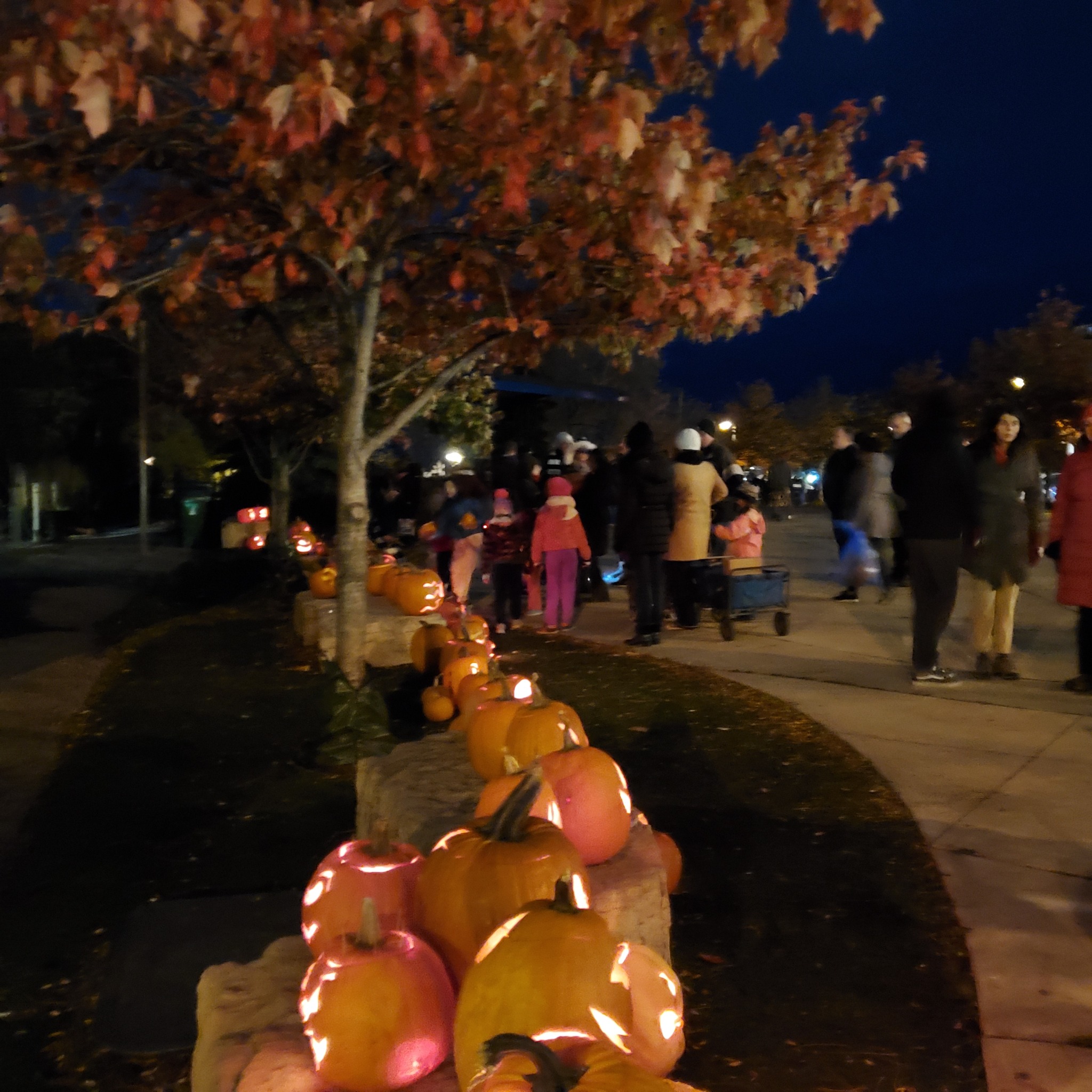 Mimico Pumpkin Parade