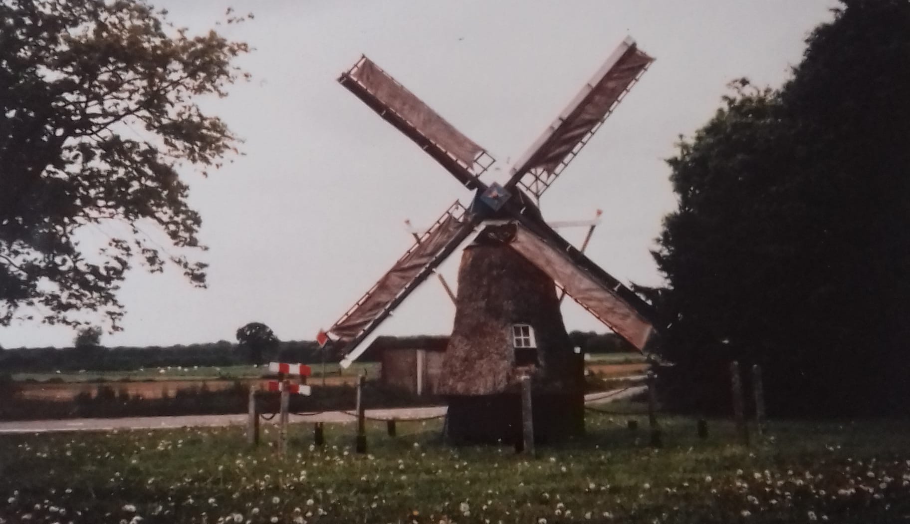 molen-de-vriendschap-bleskensgraaf-als-de-molen-maalt-wordt-het-meel