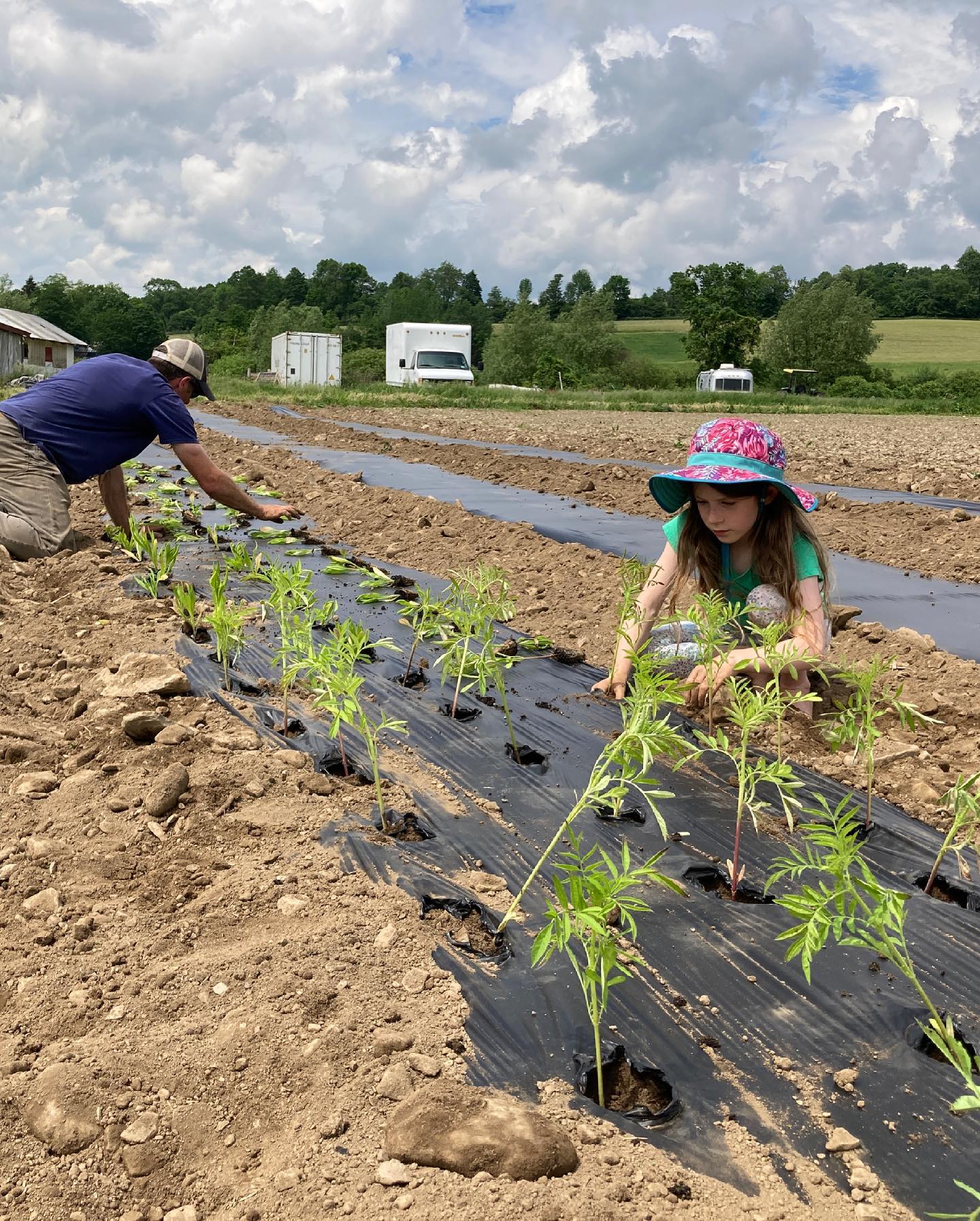 Shared Roots Farm