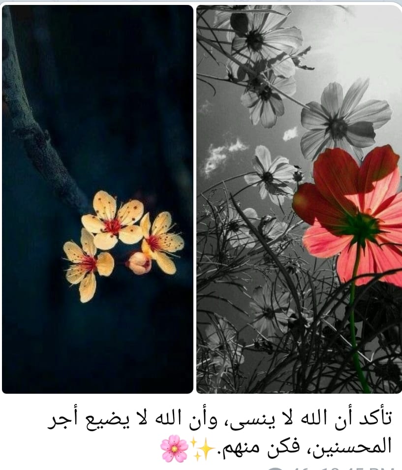 نسمات - نُشِر الإعلان التالي بصحيفة مسينجر بولاية إلينون: 