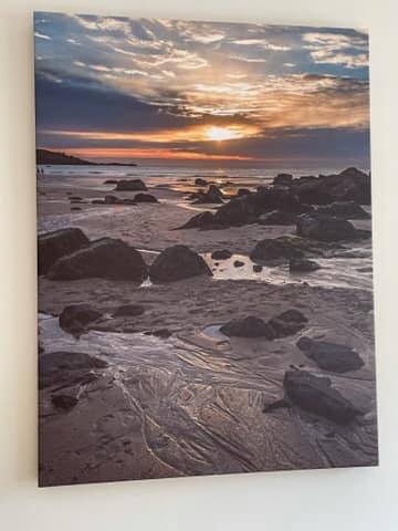 Lynne Reeves, Artist