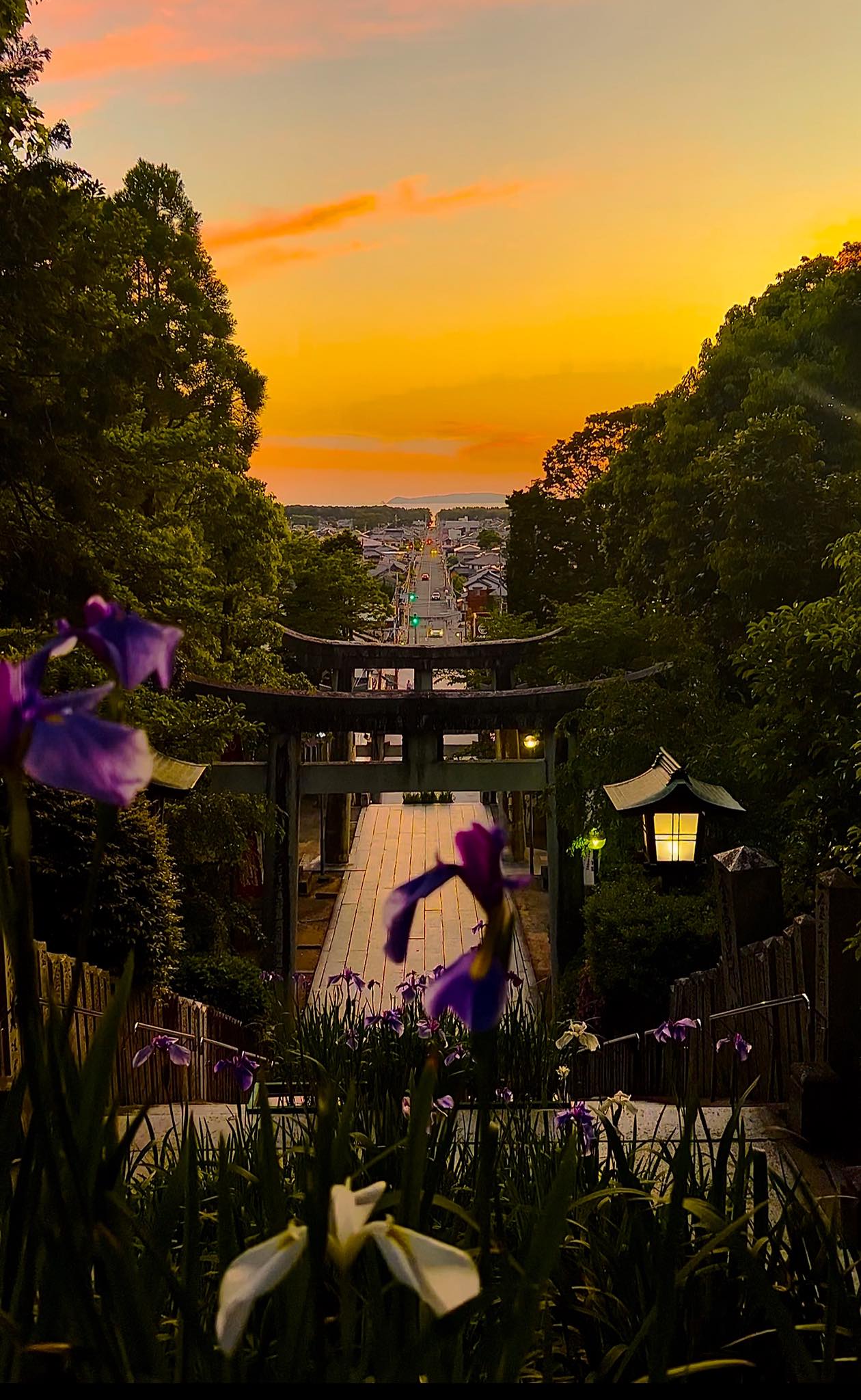 宮地 嶽 神社 参道