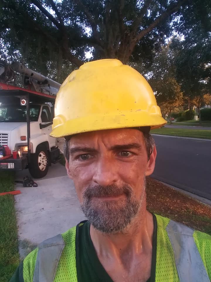 Trees.Guru | Lutz FL