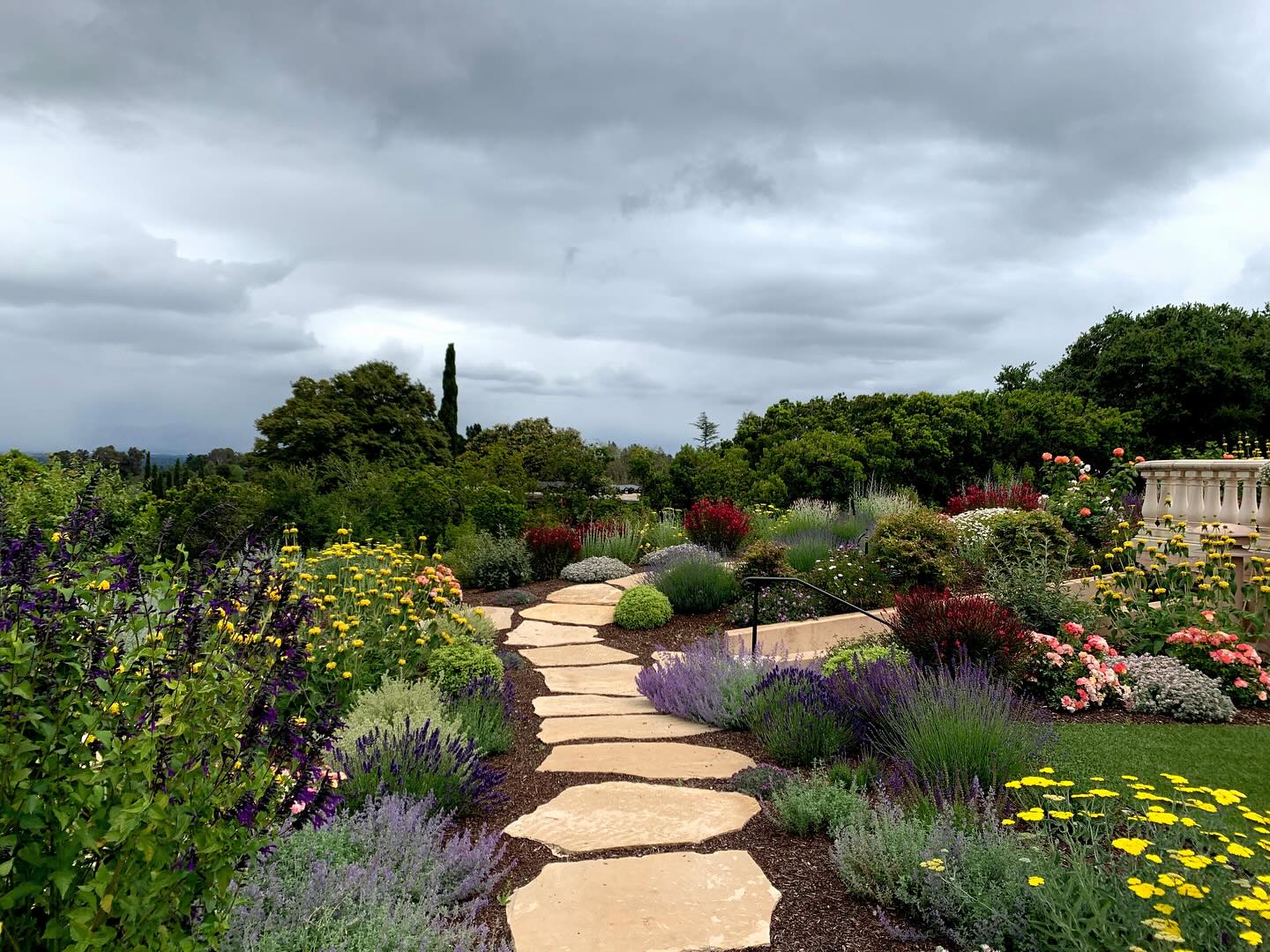 Jenna Bayer Garden Design | Mountain View CA