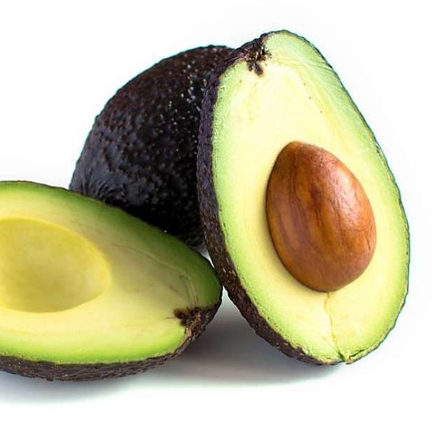 blush-avocado-is-the-fruit-of-the-avocado-tree-scientifically-known