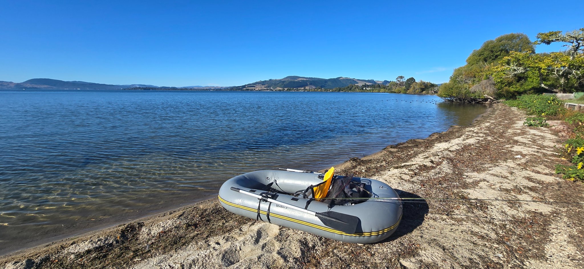 NZ BUY SELL TRADE FRESHWATER FISHING | This is your chance to own a ...