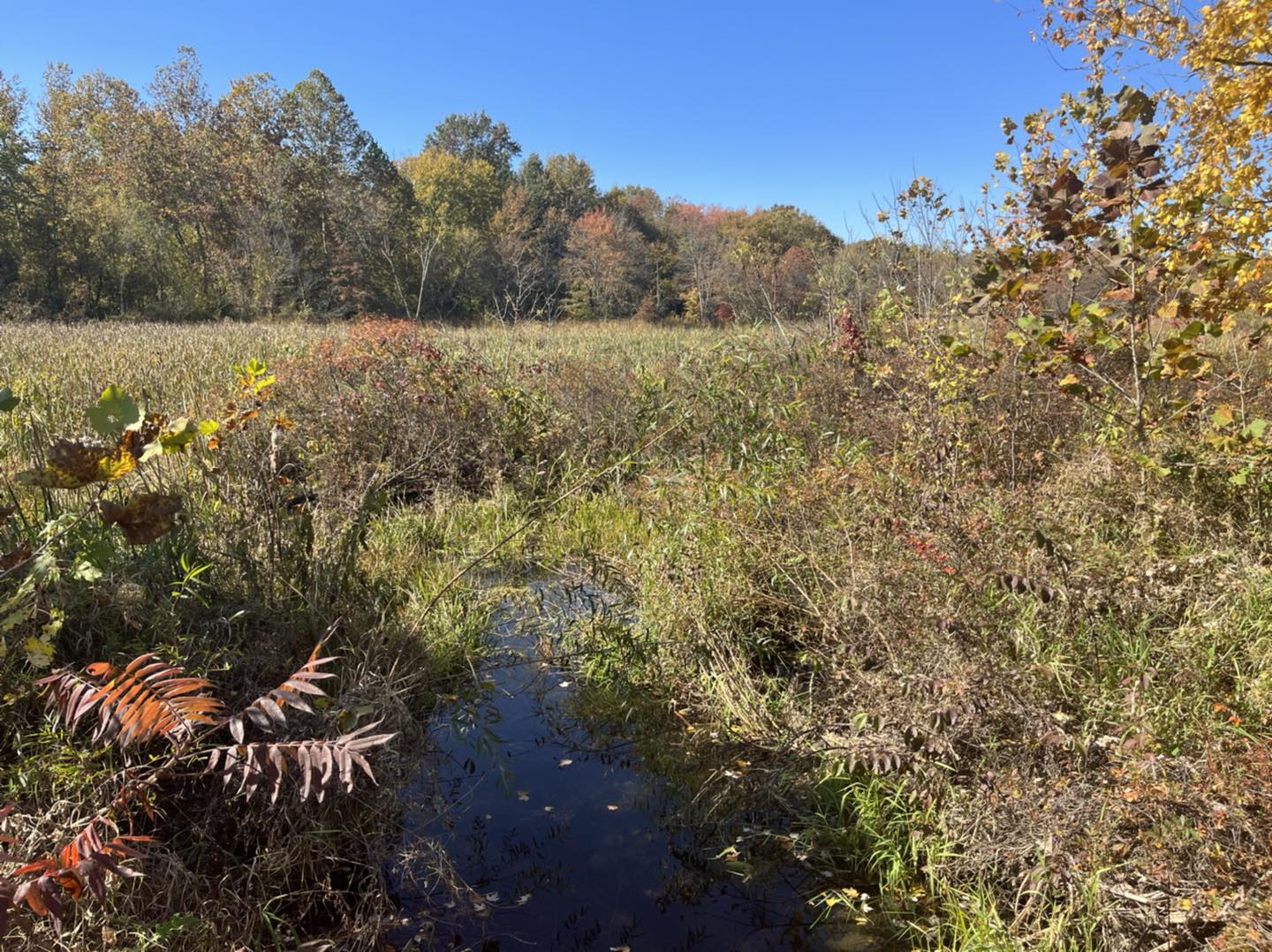 Coal Ridge Park and Trails