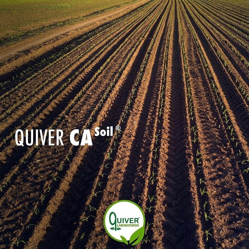 Te presentamos Quiver CA Soil®,... - Laboratorios Quiver | Facebook