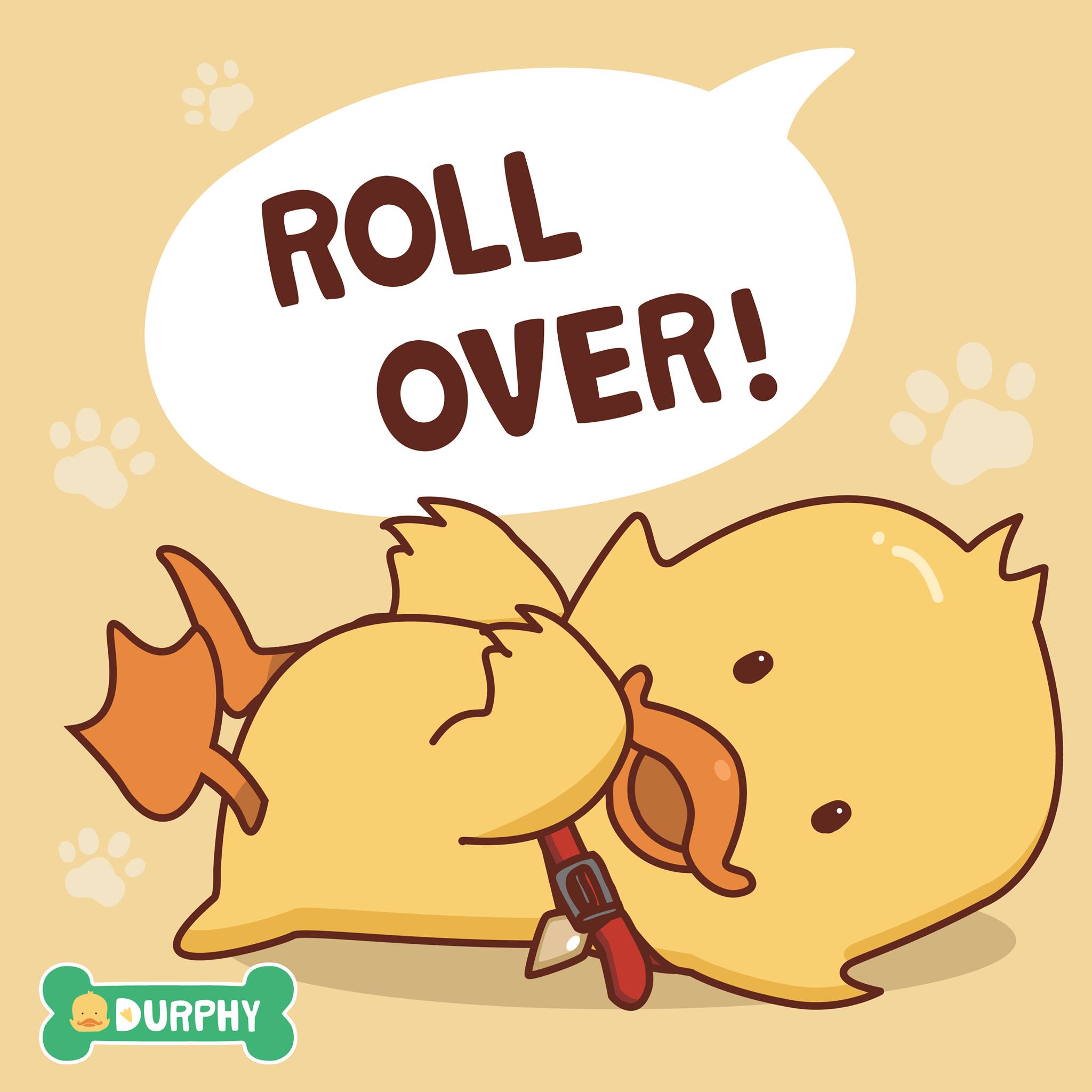 Durphy - Durphy can do tricks too! Roll over is one of his...