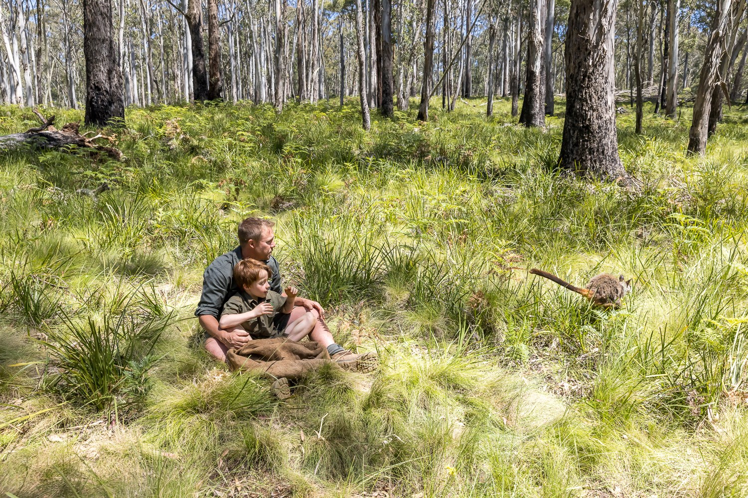 Aussie Ark - Rewilding species once thought lost from a...