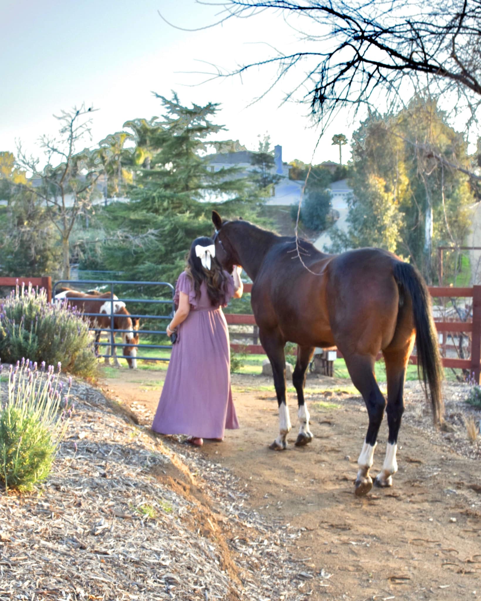 Sunset Creek Ranch & Stables
