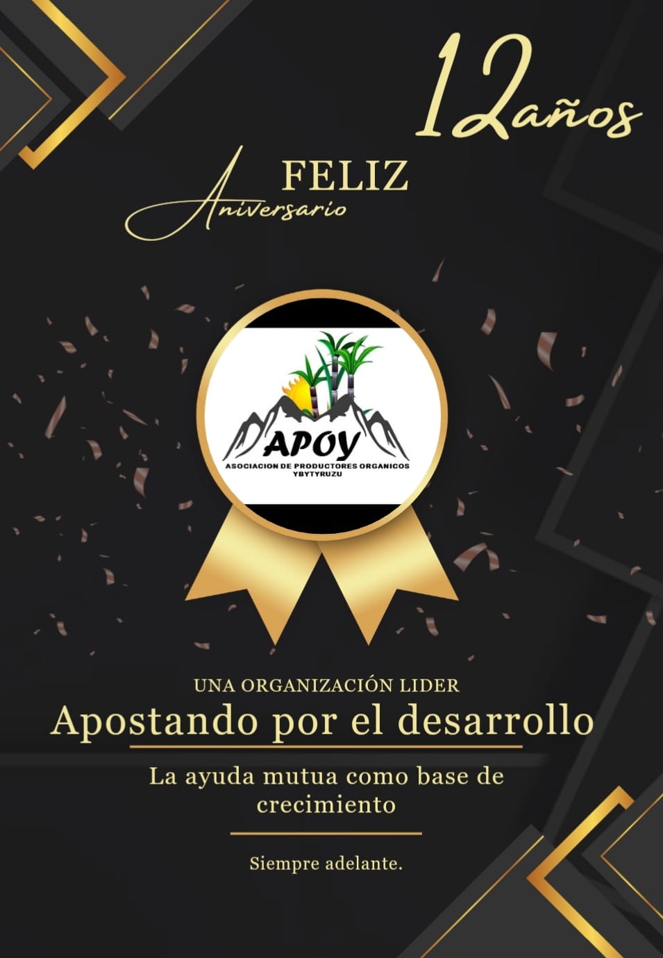 Asociación de productores orgánicos ybytyruzu - Apoy