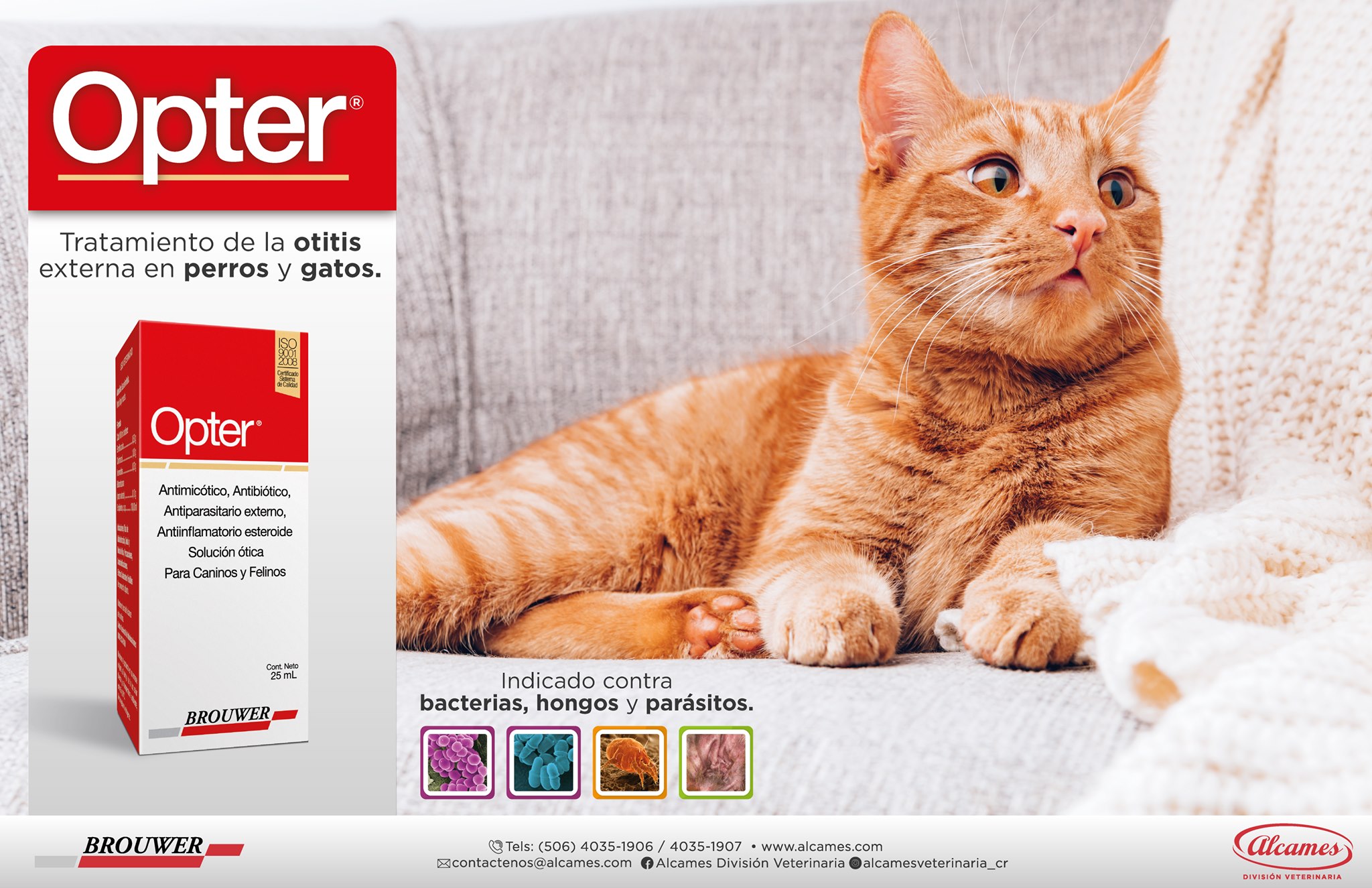 Opter® el nuevo tratamiento... - Alcames División Veterinaria | Facebook