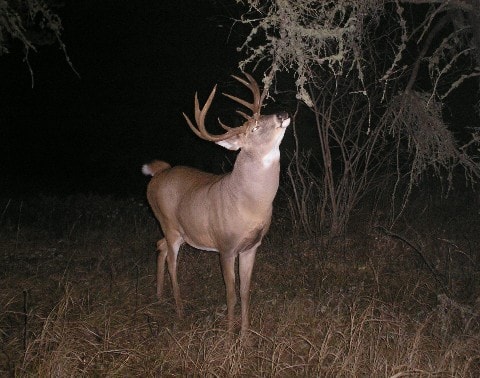 Oklahoma Shooters Association | Facebook
