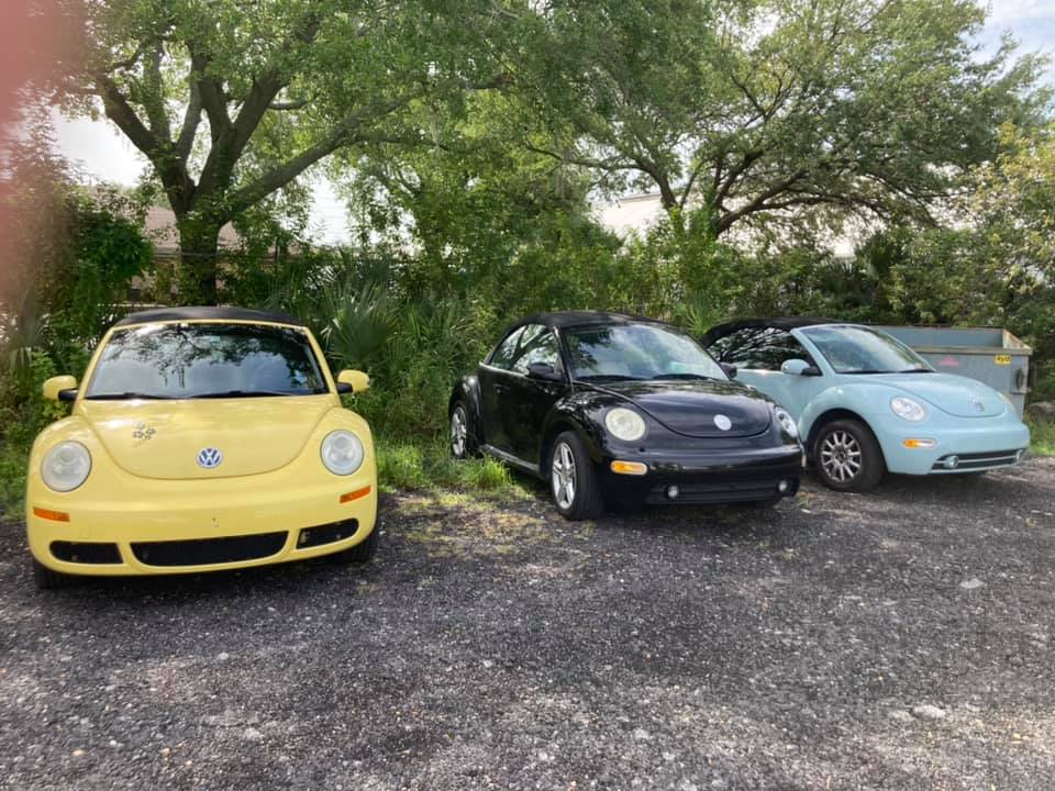 Jason's Bug Ranch | Winter Garden FL