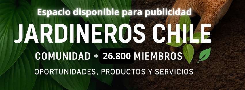 Que me recomiendan poner pasto en rollo o tirar semillas ???? | Facebook