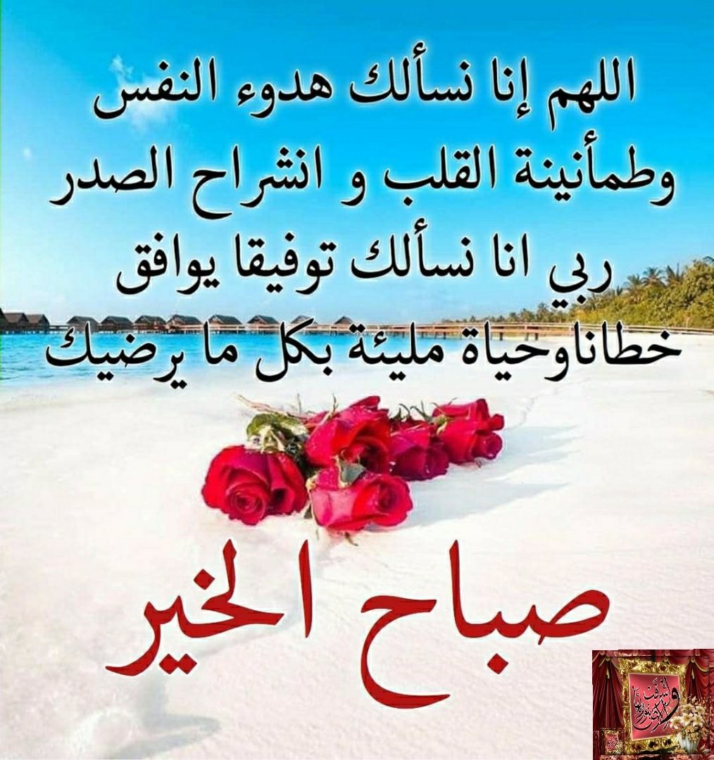 أشرقت الأرض بنور ربها اللهم نسألك هدوء النفس وطمأنينة القلب وإنشراح الصدر ربي انا نسألك توفيقا يوافق خطانا وحياة مليئة بكل مل يرضيك صباح الخير Facebook