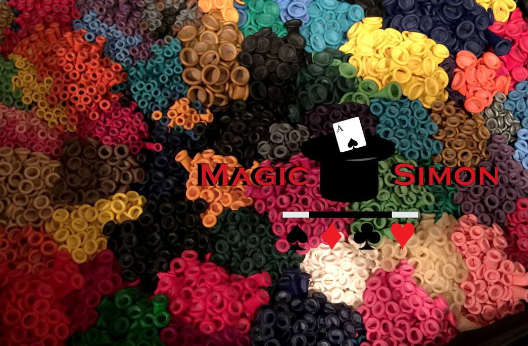 Magic Simon