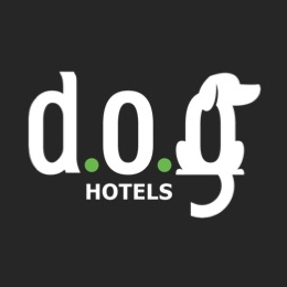 Meet the Team: Shantel Shantel journey at DOG Miami Shores began four ...