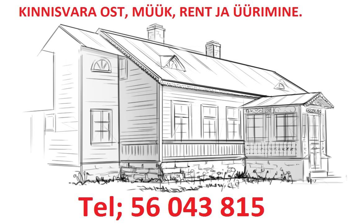 Marknor Kinnisvara - Valge Rott on kohal! Tark, leidlik, intelligentne ...