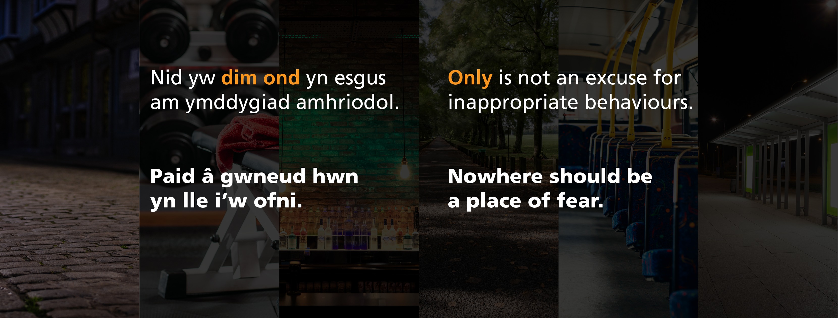 Domestic Abuse Safety Unit; DASU North Wales