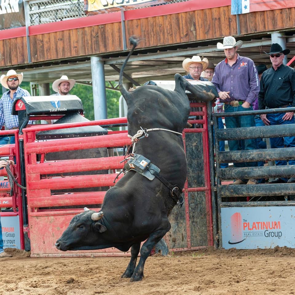 2021 AH East Junior Futurity... - American Bucking Bull Inc. | Facebook
