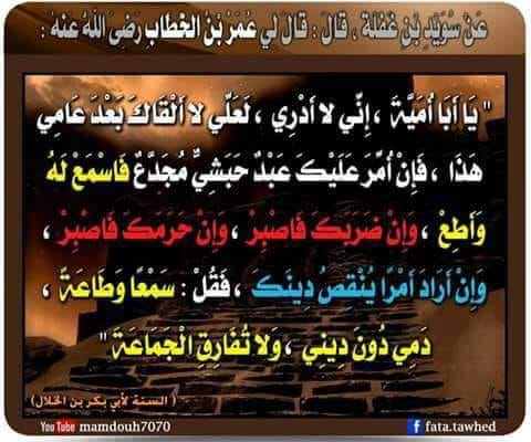 الدعوة السلفية بفهم سلف الأمة - حكم جماع المرأه فى دبرها: روى أكثر من ...