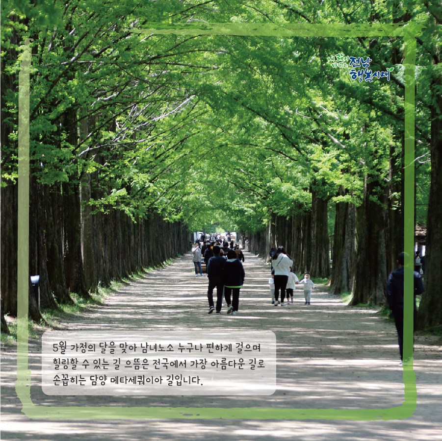 전라남도 - 전국에서 가장 아름다운 길 중 하나인 담양 메타세쿼이아 길🌱🌱🌱 5월 가정의 달을 맞아...