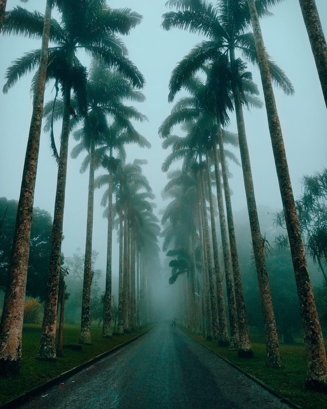 Ghana Tours | Accra