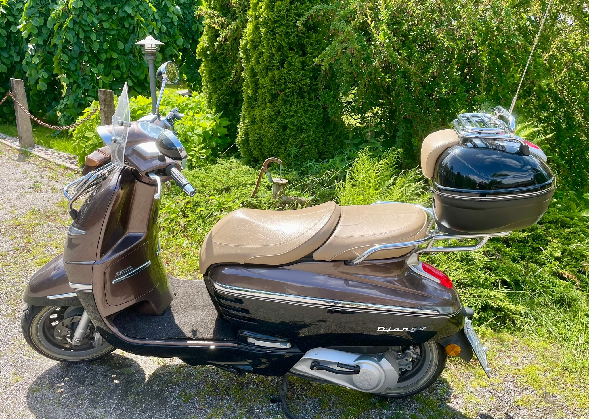 Peugeot Django Scooter Club | Facebook