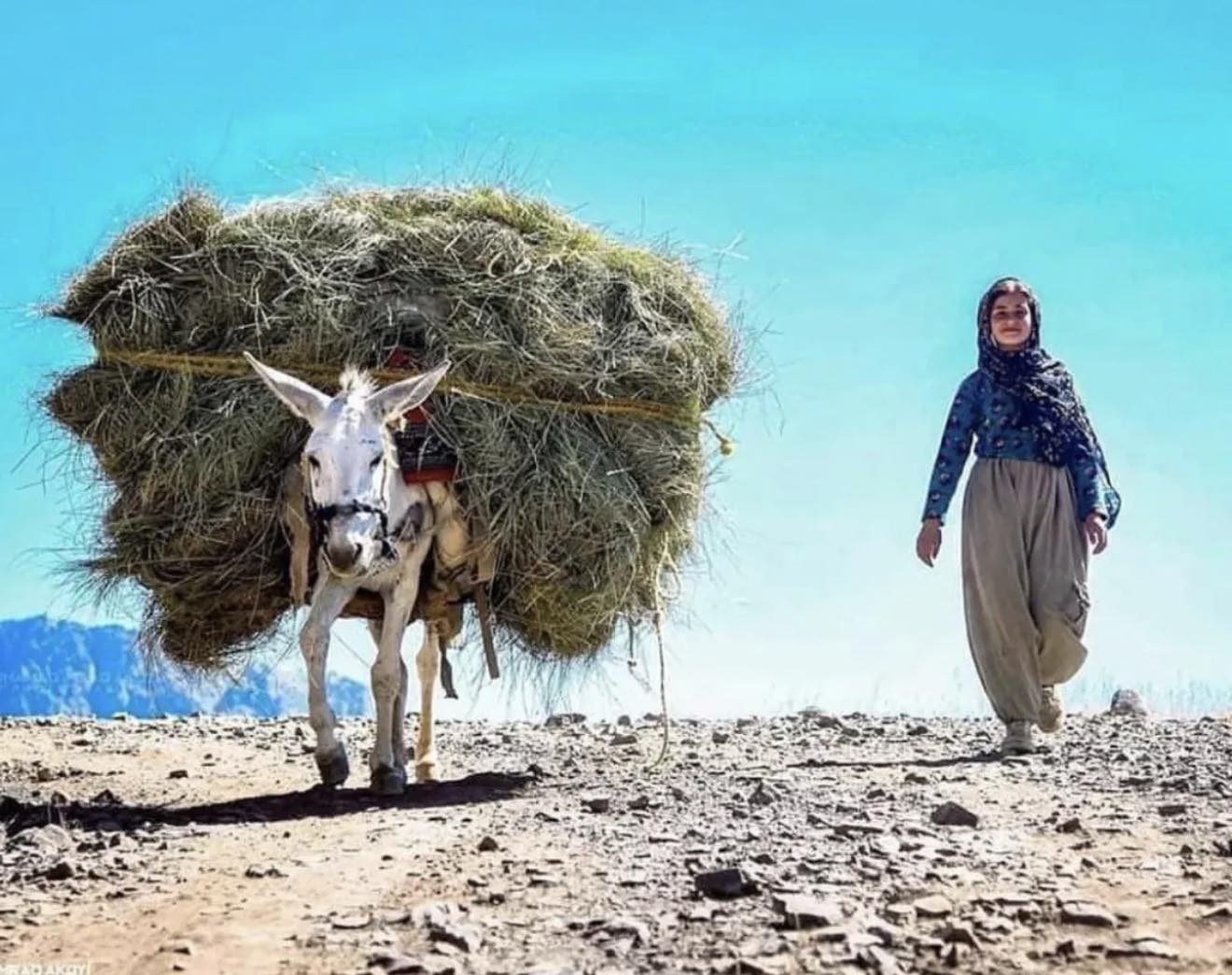 گوند نشين
