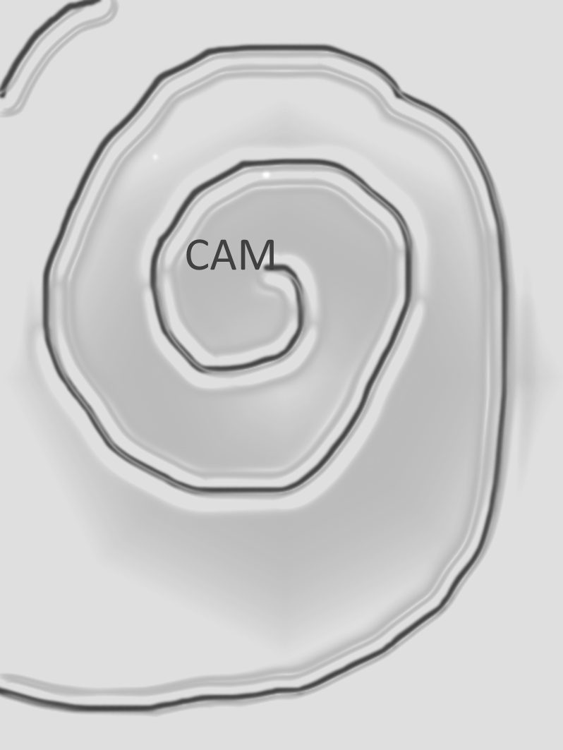 CAM