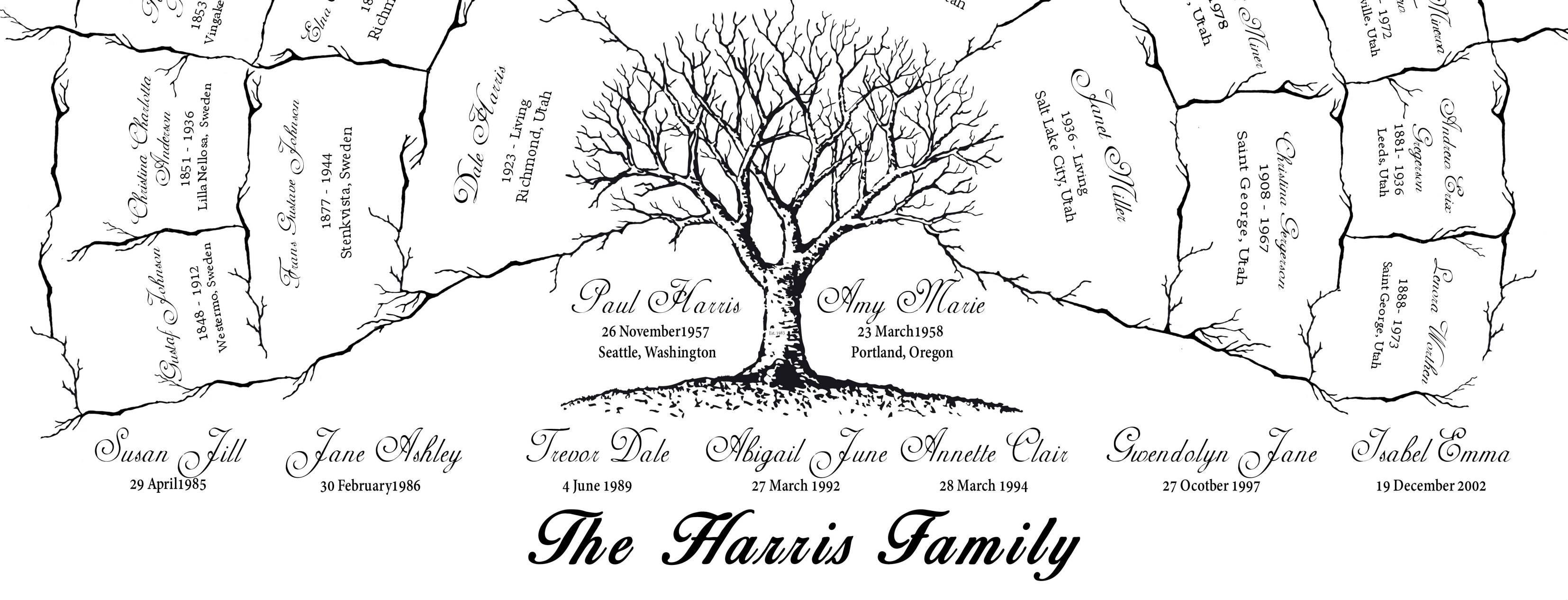 Family Tree Drawing Black And White