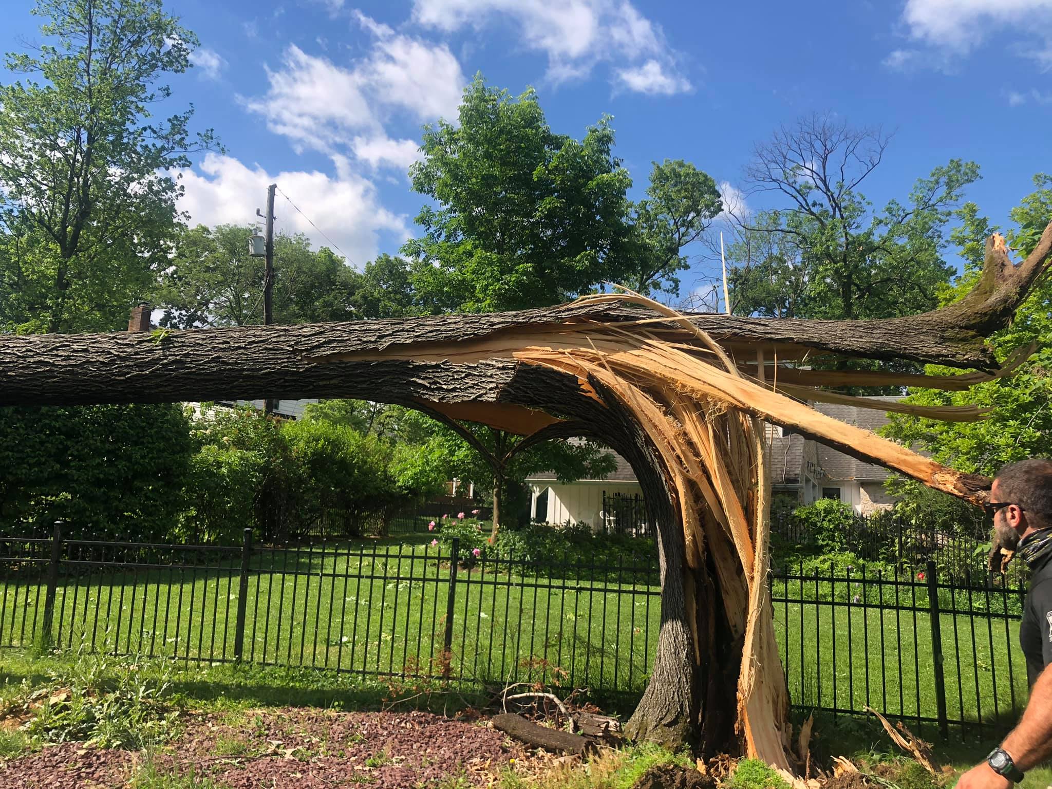 Baylor's Top Notch Tree Service, LLC | Orefield PA