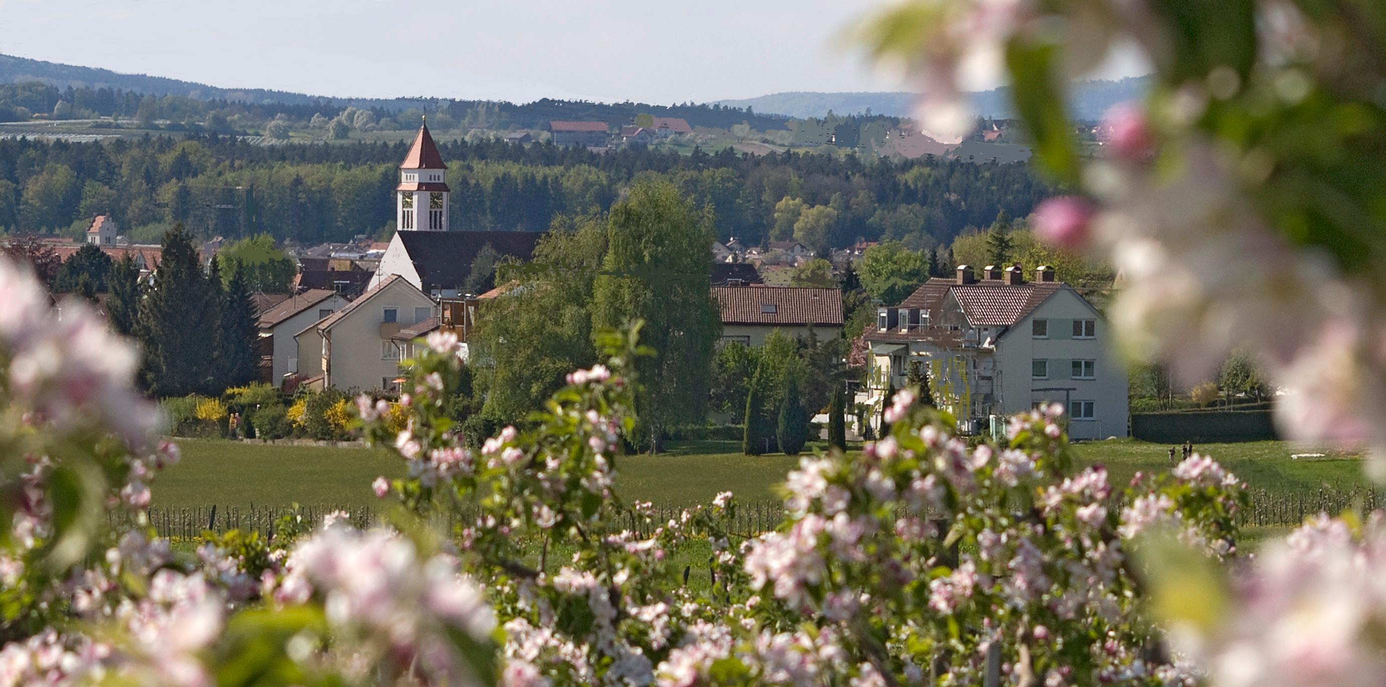 Meckenbeuren Am Bodensee