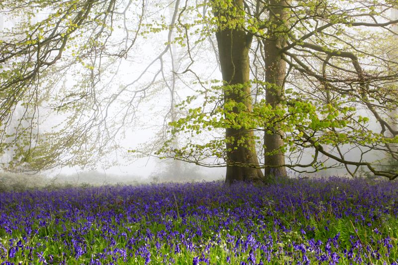 Chris Lock Photography