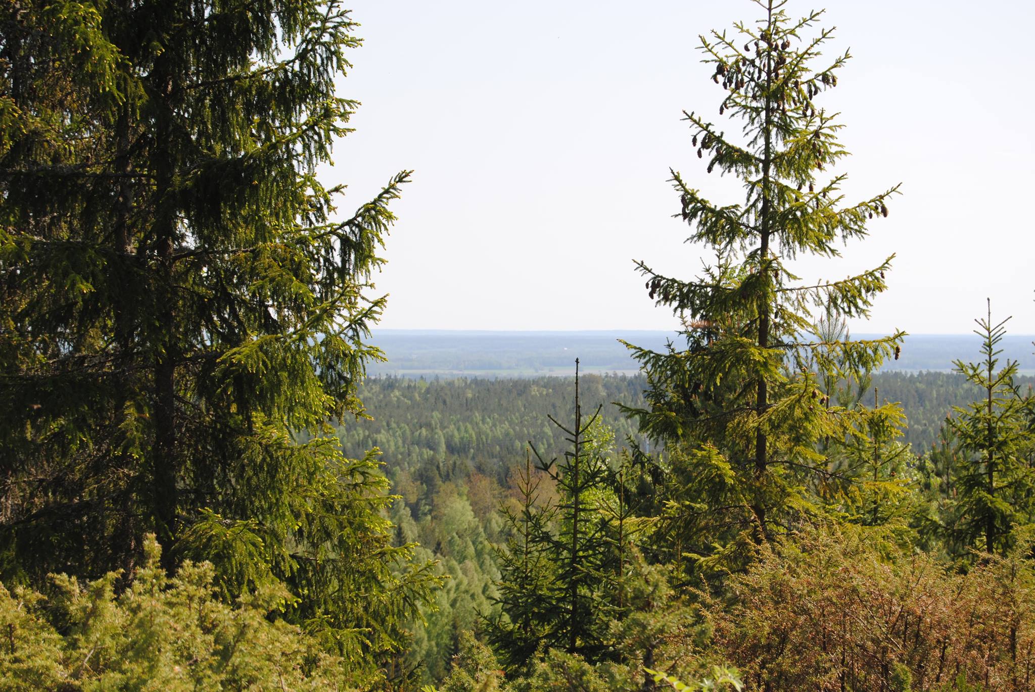 Hasselfors Naturfoto... - Hasselfors Naturfoto & Filmfestival