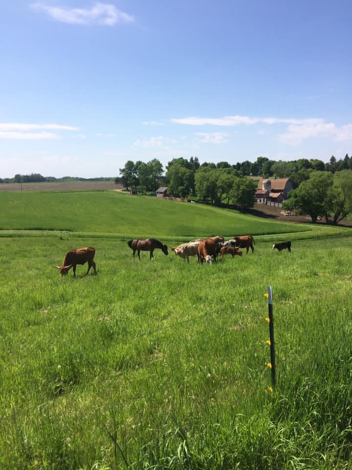 Timber Ridge Ranch added a new photo. - Timber Ridge Ranch