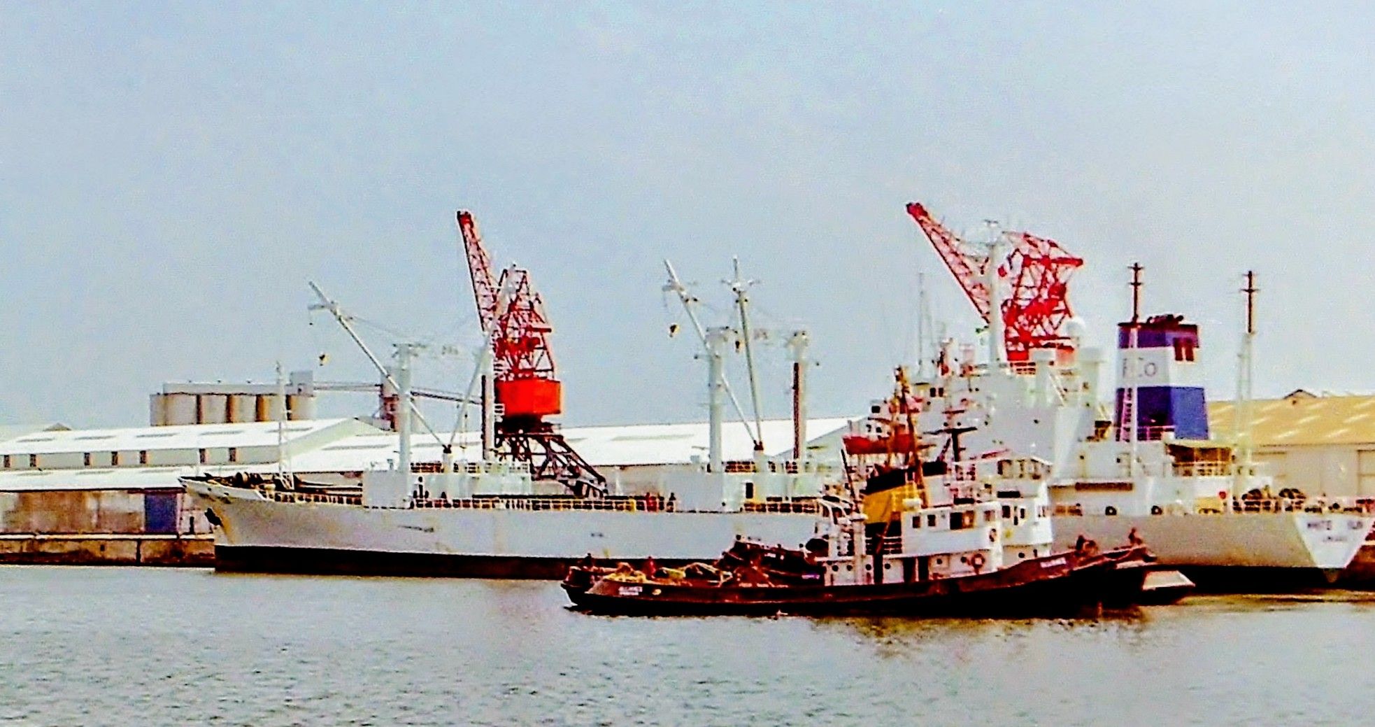 2022.06.01 (Wed) Tokyo Port . Japan 白嶺 R.V. Hakurei